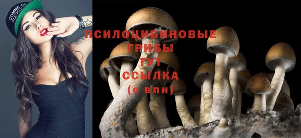 прущая мука Алзамай