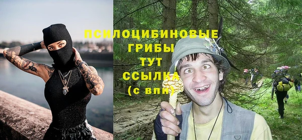соль ск Алексеевка