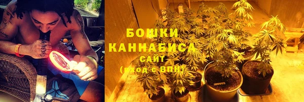 соль ск Алексеевка
