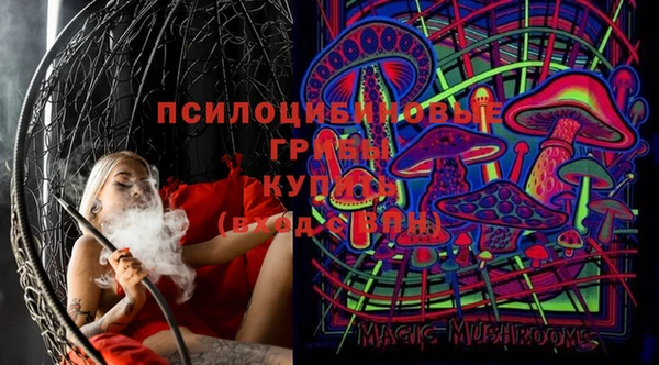прущая мука Алзамай
