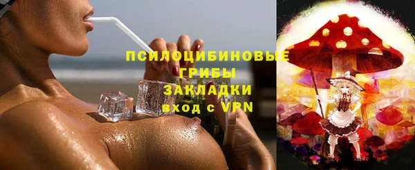 прущая мука Алзамай