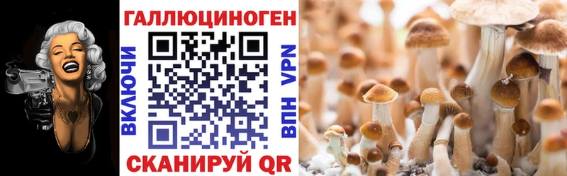 Псилоцибиновые грибы Psilocybe  kraken онион  Анадырь  магазин   